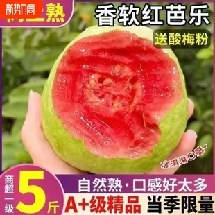 软红心芭乐新鲜番石榴应季 冰淇淋 低糖孕妇水果红心果当季