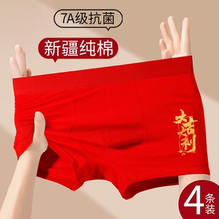 大红色透气2025新款 雅鹿本命年男士 衩男底裤 纯棉抗菌平角短裤 内裤