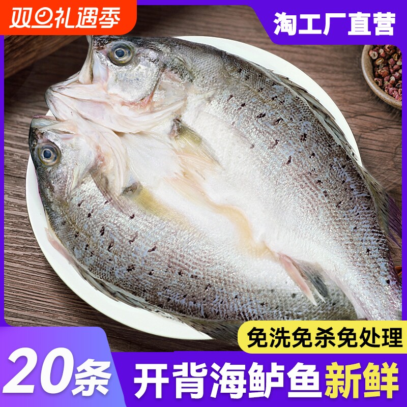 新鲜冷冻bq海鲈鱼开背半成品烤