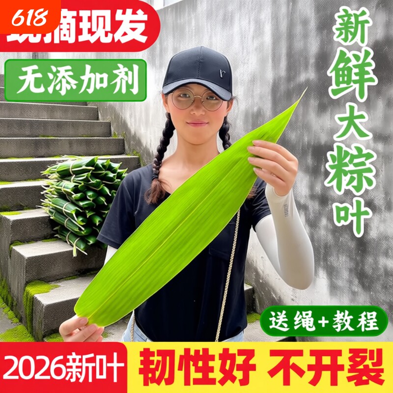 粽叶新鲜粽子叶特大箬叶端午节包粽子的叶子家用商用干送绳现摘