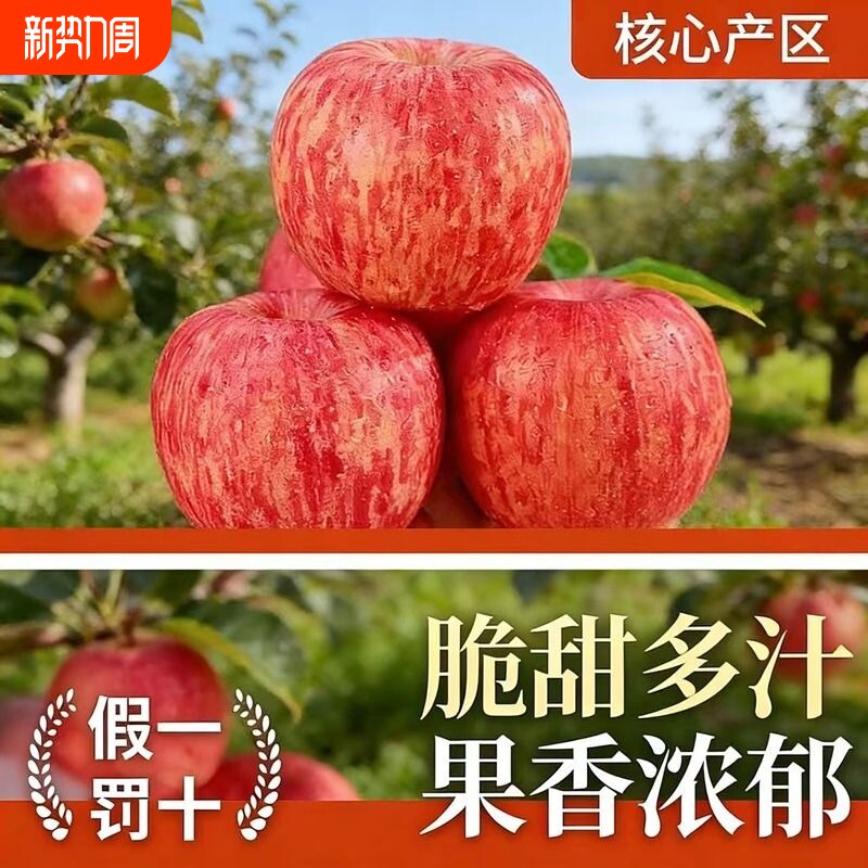 陕西正宗洛川红富士苹果当季新鲜水果整箱脆甜多汁产地直发整箱