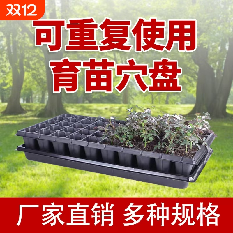 育苗穴盘家庭育苗种植神器套装营养钵蔬菜多肉育种扦插盒农用托盘