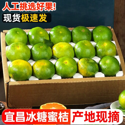 宜昌蜜橘新鲜水果5斤当季现摘青皮蜜桔无籽桔子早熟橘子整箱包邮