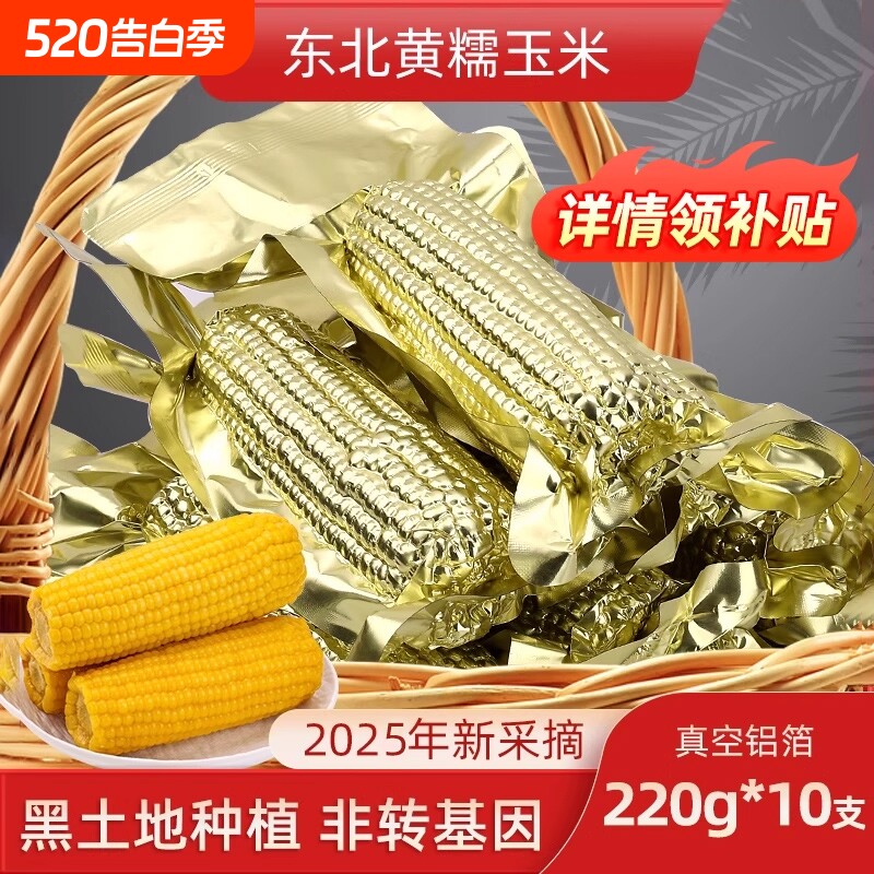 2025新货 东北黄糯玉米棒10支黄金铝箔装低脂黄糯香甜东北黏苞