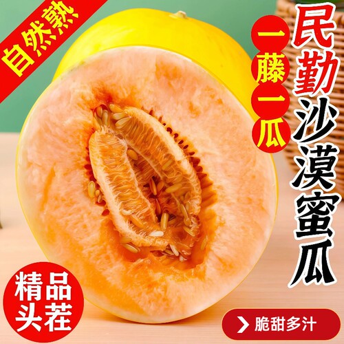 正宗民勤蜜瓜甘肃沙漠甜瓜当季新鲜水果黄皮哈密瓜整箱脆香瓜时令