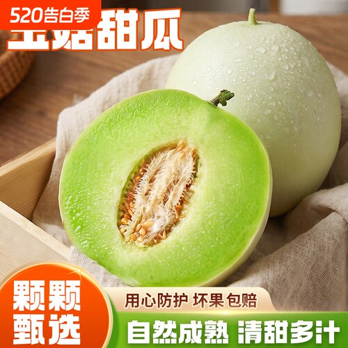 【9斤玉菇甜瓜】软糯香甜