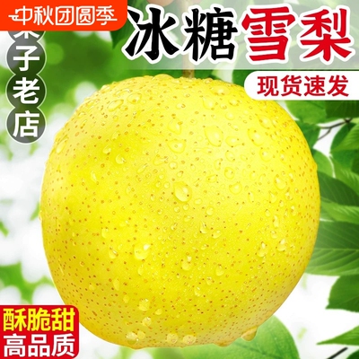 山西新鲜雪梨脆甜多汁细腻无渣5斤包邮优选冰糖雪梨优选大果无渣