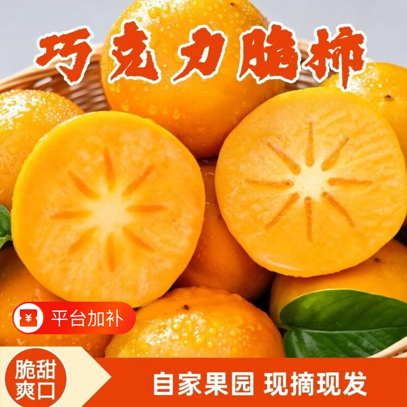【正宗】巧克力脆柿当季新鲜脆甜冰糖心柿子无核硬柿子现货批发价