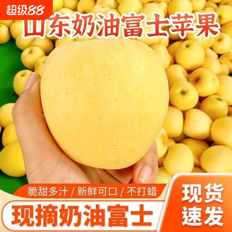 山东正宗奶油富士苹果现摘黄金脆甜奶香苹果当季新鲜脆甜奶油水果