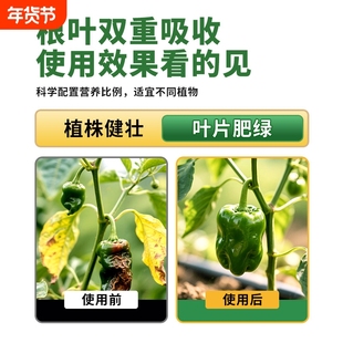 尿素肥料蔬菜用农用氮肥化肥复合肥种花卉果树养花盆栽通用型花肥