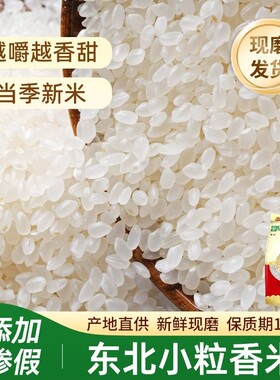 东北珍珠米5kg新米小粒香小町米