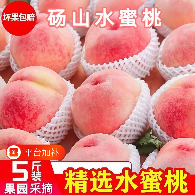 砀山水蜜桃大果新鲜水果现摘脆甜时令孕妇桃子蒙阴当季整箱天水
