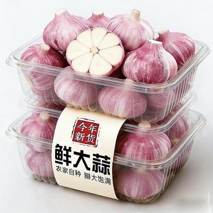 云南正宗紫皮大蒜红皮蒜新鲜多瓣蒜香蒜蔬菜泡蒜糖蒜 时令鲜蒜
