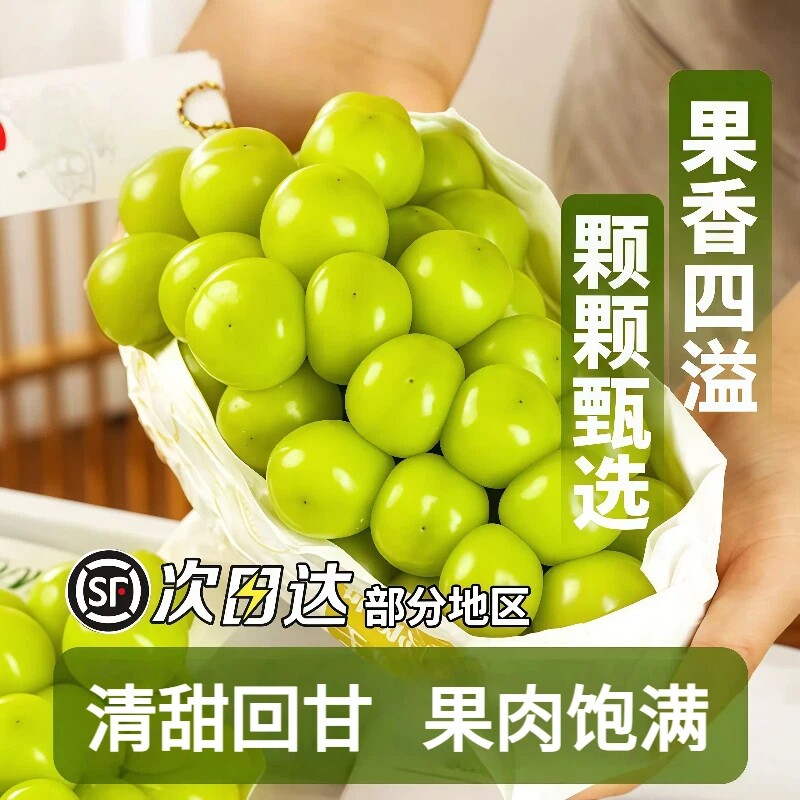 阳光玫瑰葡萄5斤晴王香印青提脆甜无籽大果当季水果现摘顺丰包邮
