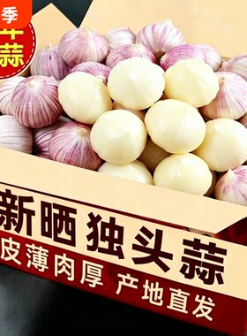 【精选大果】独头蒜大蒜头新晾紫皮独蒜干大蒜蔬菜当季蒜蓉干蒜