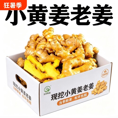 现挖小黄姜老姜生姜批发新鲜蔬菜调味料月子姜小黄姜老黄姜泡姜