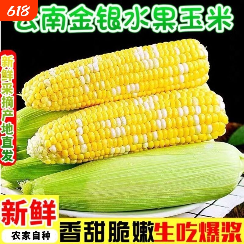 德宏金银双色水果玉米高山四季