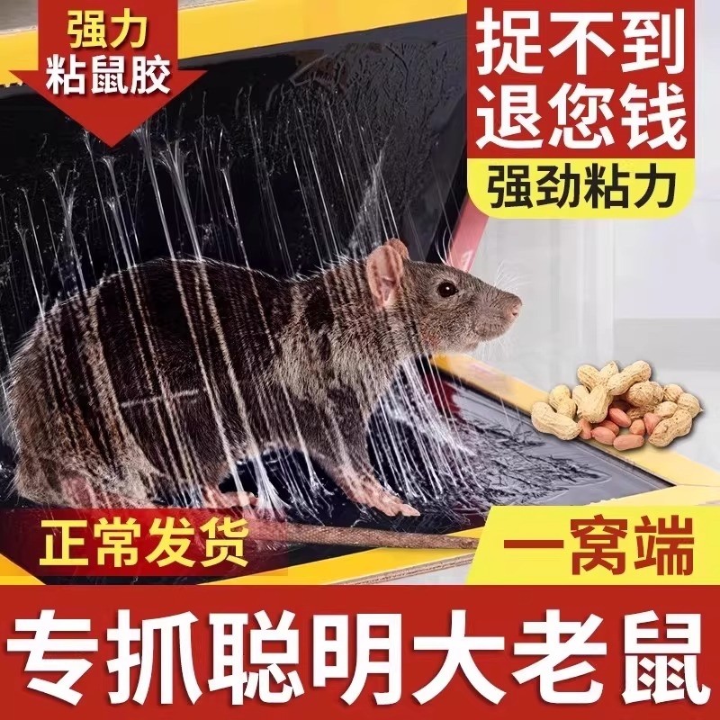强力粘鼠板胶粘大老鼠贴超强家用神器粘鼠器粘大老鼠器强力胶粘板,居家日用,灭鼠笼/捕鼠器,淘宝优惠券,粉丝福利购,淘宝优惠卷