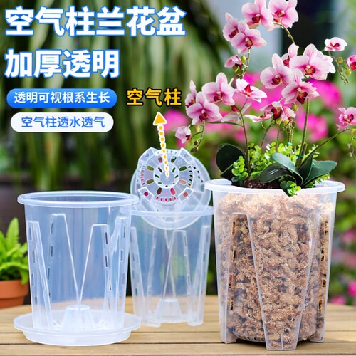 透明树脂控根花盆蝴蝶兰专用盆