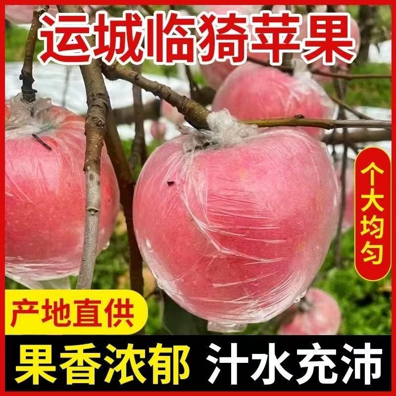 速发头茬山西红富士丑苹果运城临猗新鲜酥脆多汁产地直发冰糖苹果