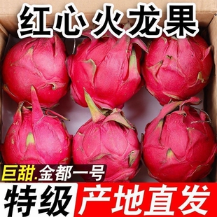 新鲜红心火龙果当季现摘甜红肉正宗金都一号应季热带水果批发包邮