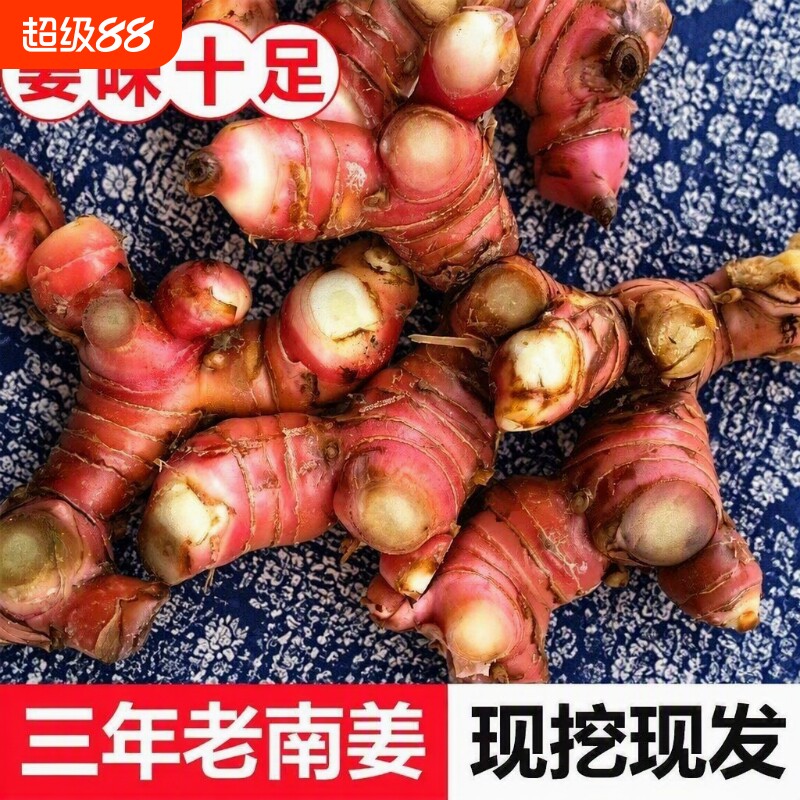红皮精选正宗南姜新鲜山姜头牛羊肉野生调料潮汕火锅提味配料生姜图片