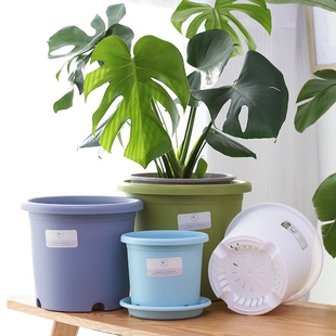 花大爷Deepot加厚加仑盆控根透气月季 树脂塑料大花盆控根盆超大号