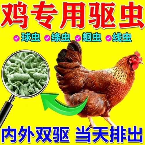 鸡驱虫药鸡鸭鹅体内外一体驱虫线虫蛔虫绦虫肠虫清养鸡专用全虫清