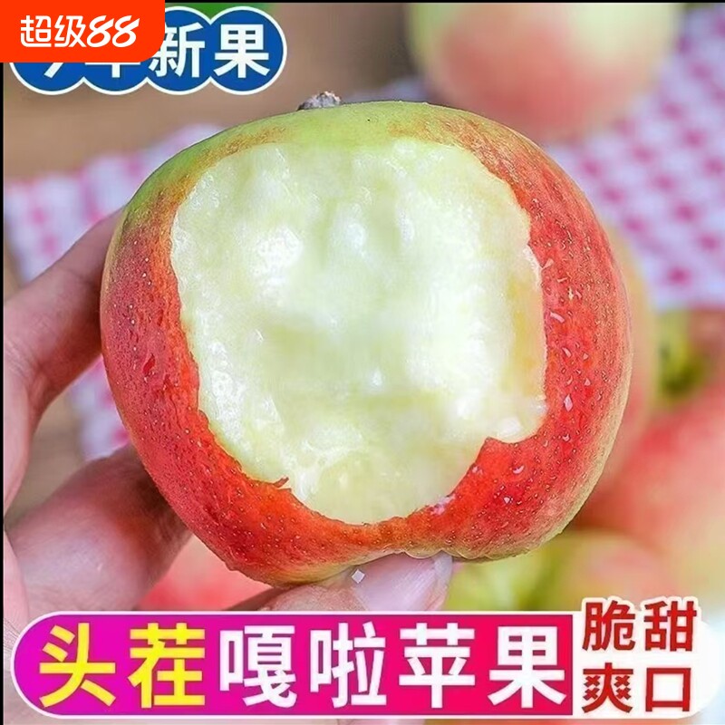 2026正宗嘎啦美八苹果现摘水果脆甜农家自种应季水果现摘产地直发