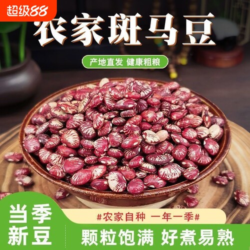 新鲜云南农家斑马豆煲汤煮粥五谷杂粮花芸豆荷包豆五谷杂粮