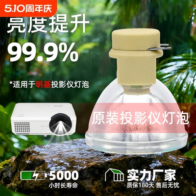 适用于奥图码 HD8200/HD808/HD131XE/HD82/DT244/DT245/DN246/DM126/DM191/PRO150S/350W/250X投影机/仪灯泡