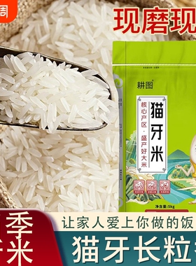 大米10斤猫牙农家长粒米5KG2025新鲜稻香米晚稻当季家用米饭