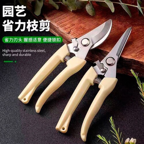 剪枝果树修枝剪刀园艺修剪