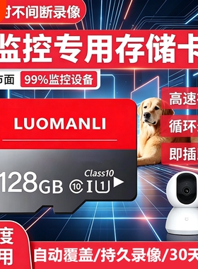 行车记录仪监控内存卡高速128g256g摄像头512g存储卡相机SD卡64G