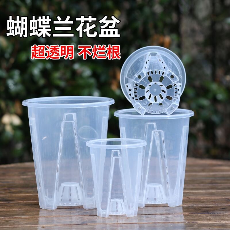 蝴蝶兰专用花盆透明塑料加厚兰花树脂透气家用盆栽大号托盘植物图片