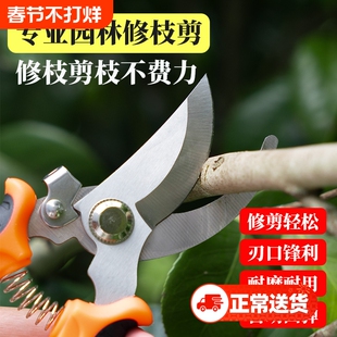 修枝剪摘果神器专用工具园艺修剪花卉剪刀不锈钢家用树枝剪枝园林