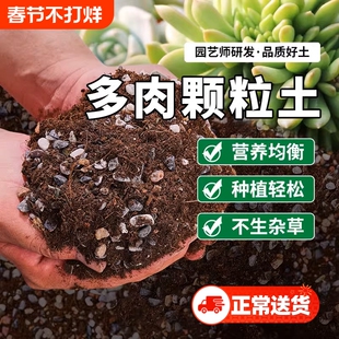 多肉颗粒土专用营养土植物泥炭种植土壤肉肉叶插小苗老桩颗粒花土