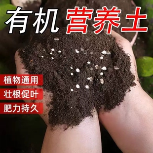 营养土养花通用型家用种花专用土土壤种植花土泥炭种菜土育苗椰砖