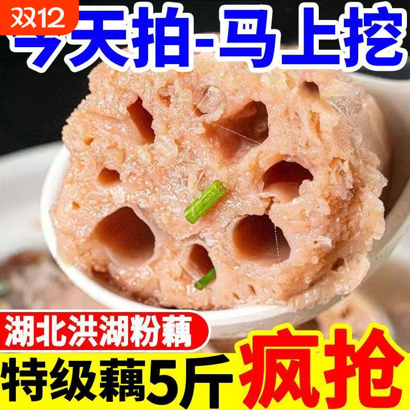 湖北粉藕新鲜莲藕洪湖藕九孔糯米藕煲汤粉藕现挖现发莲藕