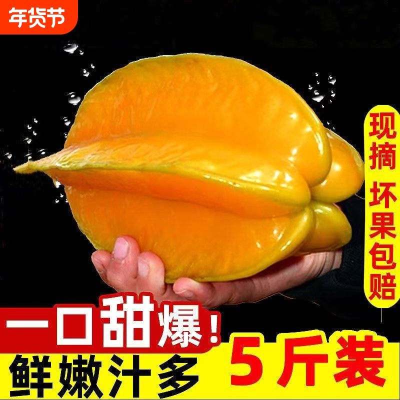 正宗福建漳州野生甜杨桃洋桃应季新鲜水果黄金扬桃大果五角星阳桃,水产肉类/新鲜蔬果/熟食,杨桃,淘宝优惠券,粉丝福利购,淘宝优惠卷