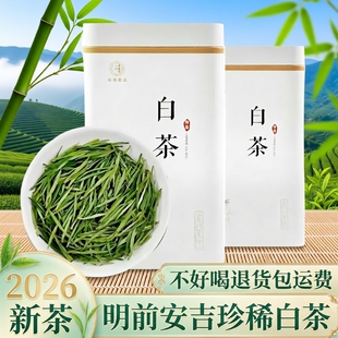 安吉珍稀白茶2026新茶明前一级口粮绿茶正宗特级高山白茶叶自己喝