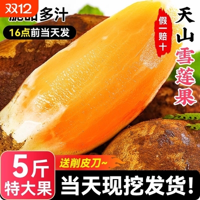 雪莲果9斤当季脆甜整箱