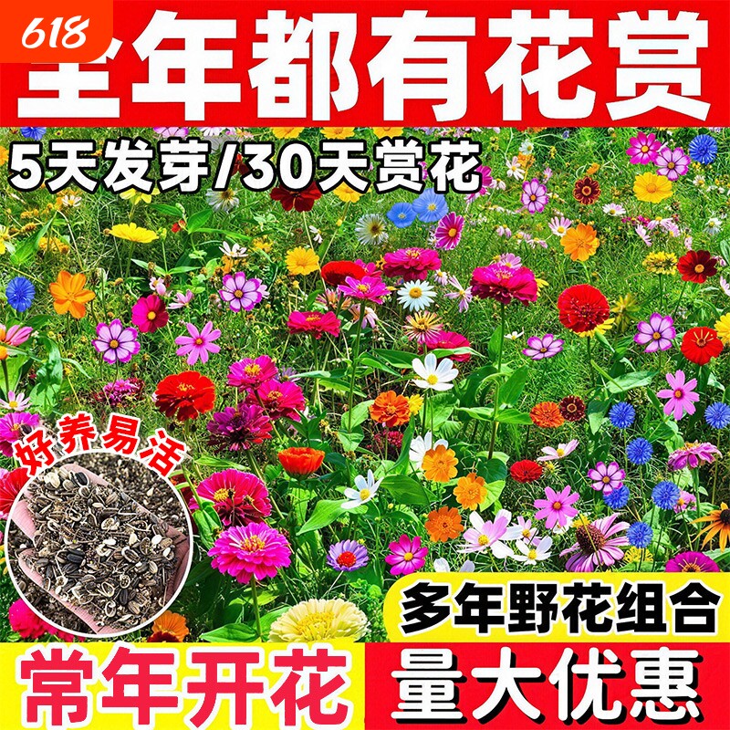 野花组合花种子四季播种耐寒庭院花卉开花格桑花种籽大全重瓣种植