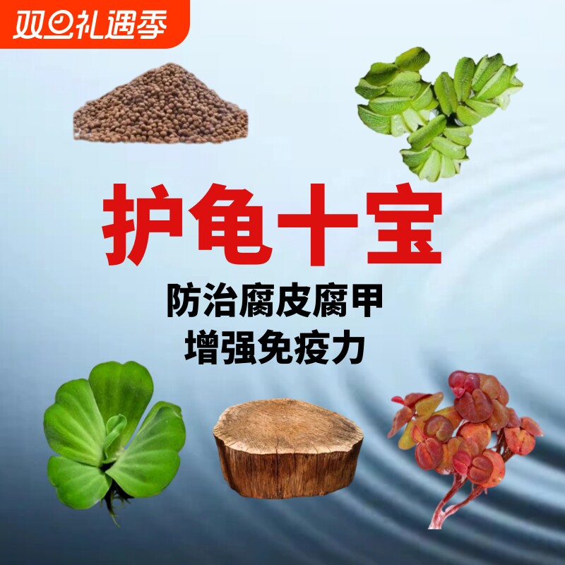 乌龟缸晒台造景装饰龙眼木水植防腐皮腐甲调节水质水草淡水净水