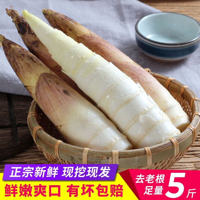 发顺丰多地次日达浙江杭州雷竹笋新鲜现挖高山鲜竹笋春笋新鲜冬笋