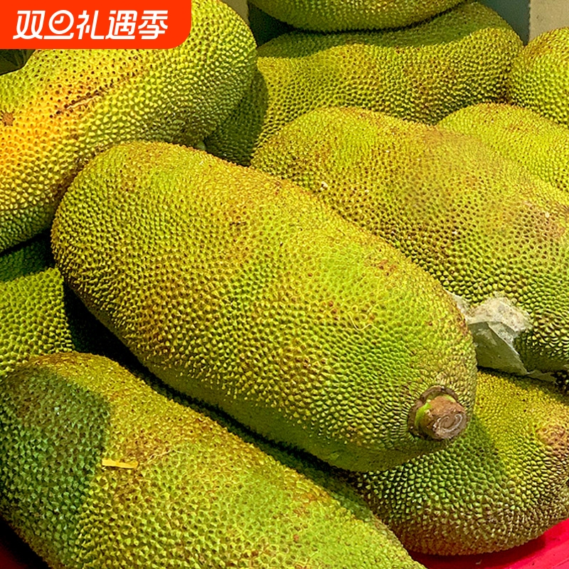 海南新鲜菠萝蜜一整个黄肉现摘现发水果包邮干包大树菠萝包邮