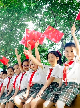 小红旗【10000人推荐】国庆节中国五星红旗7号8号手摇旗带旗杆幼儿园小学庆典活动纳米防水旗帜节日工厂直营