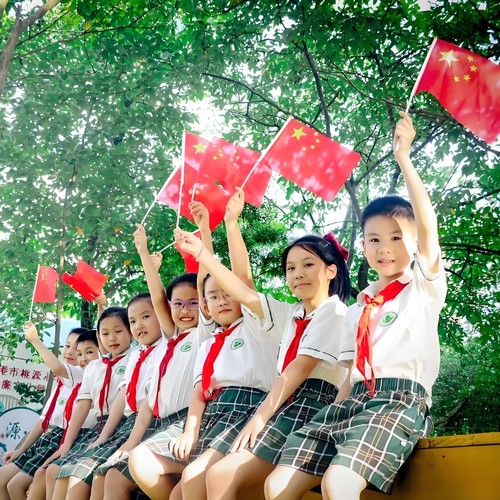 穿好杆小国旗红旗500面批发