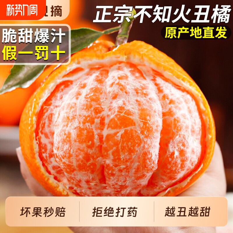 四川不知火丑橘水果新鲜当季桔子水果新鲜整箱大果时令橘子非橙子