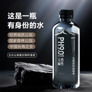 打水 箱原味PH9.0弱碱性水源饮用瓶装 天然苏打山泉水400ml 24瓶整